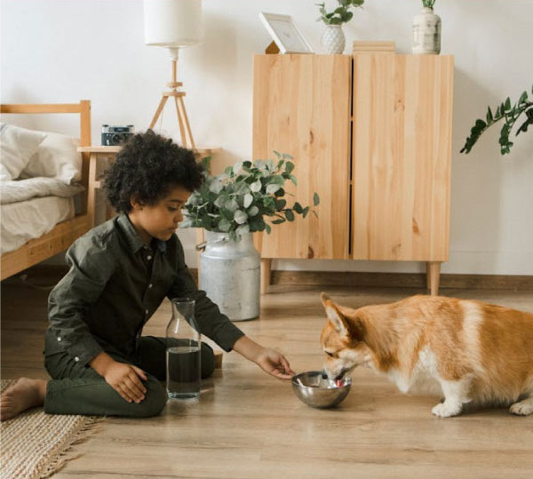 Boy offering a clean bowl of water to his Corgi in a wood accented room.