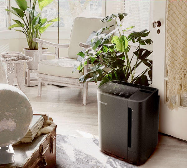 Revive True HEPA Air Purifier & Humidifier