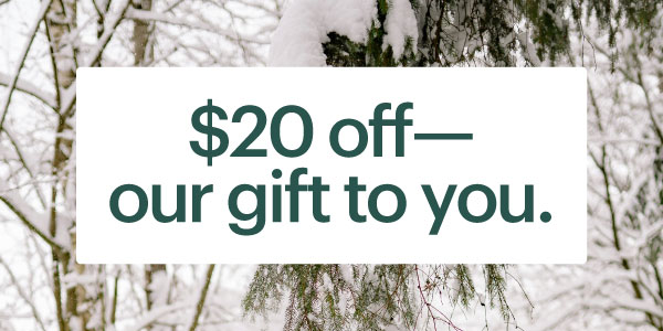 Graphic $20 Off--our gift to you. against a background of snow covered trees