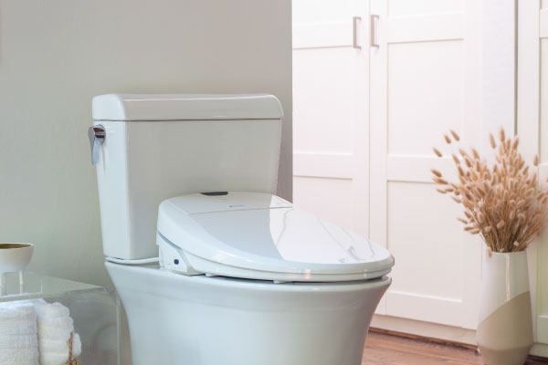  Swash 1400 Luxury Bidet Toilet Seat with Remote Control