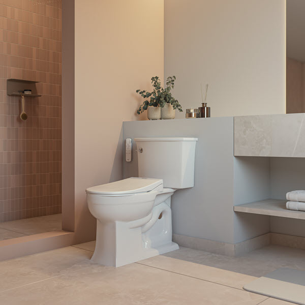 T66 Bidet