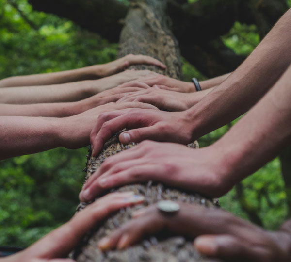 Several hands from different individuals placed on a tree trunk in an outdoor setting, symbolizing unity, collaboration, and connection with nature.