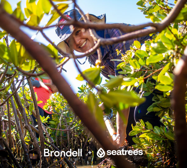 Smiling volunteer planting mangroves in coastal habitat, highlighting Brondell's partnership with Seatrees to restore oceans, support communities, and protect the planet.