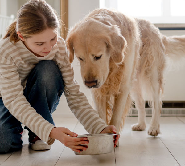 Child kneeling on kitchen floor placing metal bowl for golden retriever, highlighting a warm home moment with pet care, natural light, and clean modern interior setting.